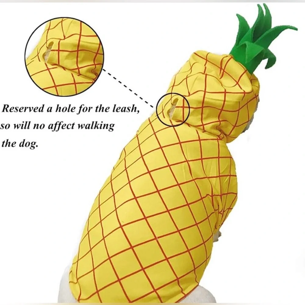 Coppthinku dogin dog